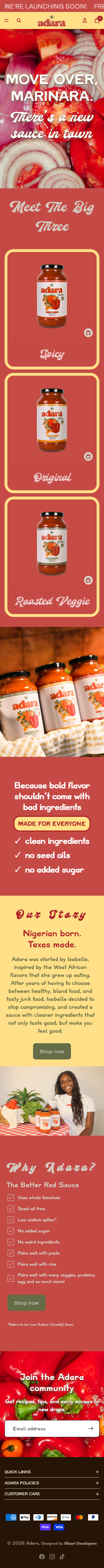 Mobile Portfolio Screenshot